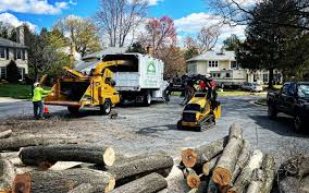Best Tree Risk Assessment  in Morgans Point Resort, TX
