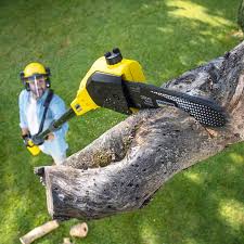 Best Lawn Pest Prevention  in Morgans Point Resort, TX