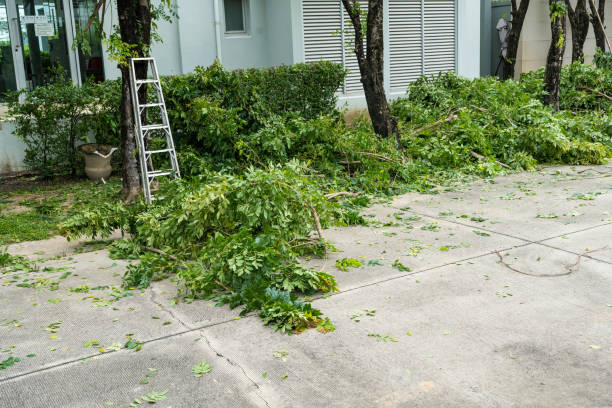 Best Tree and Shrub Care  in Morgans Point Resort, TX