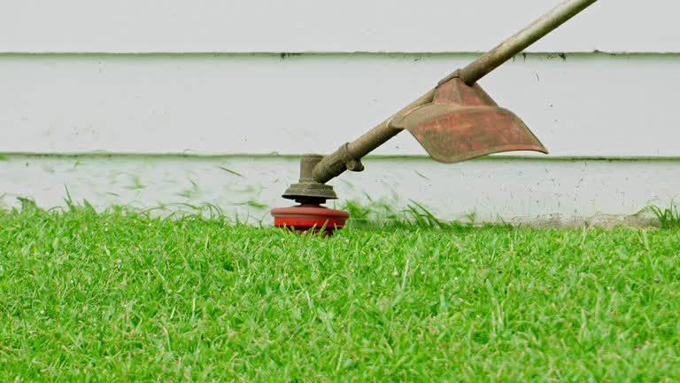 Best Weed Control  in Morgans Point Resort, TX